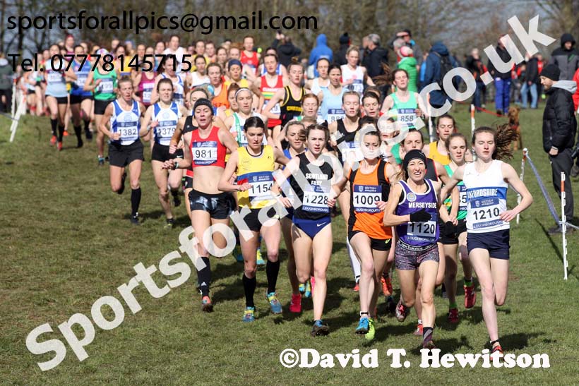Senior womens 2019 British Athletics Inter Counties Cross Country, Prestwood Hall, Loughborough. Photo:  David T. Hewitson/Sports for All Pics